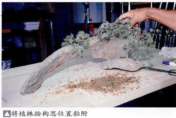 图解 制作附石盆景怎么素材准备和石材加工