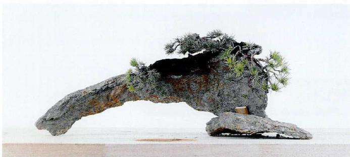 图解 制作附石盆景怎么素材准备和石材加工