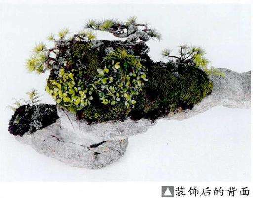 图解 制作附石盆景怎么素材准备和石材加工