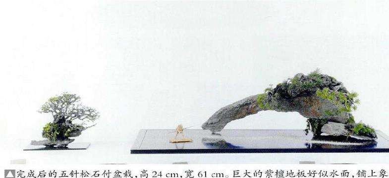 图解 制作附石盆景怎么素材准备和石材加工