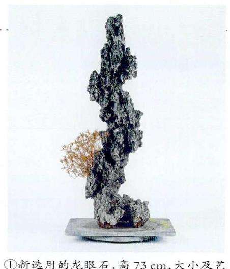 图解 制作附石盆景怎么换石的7个步骤