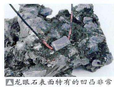 图解 制作附石盆景怎么换石的7个步骤