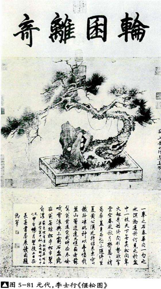 元代植物类盆景的8个论述 图片