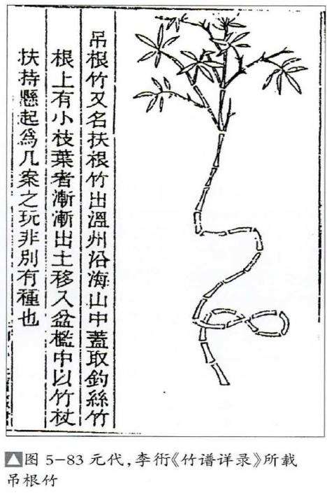 元代植物类盆景的8个论述 图片