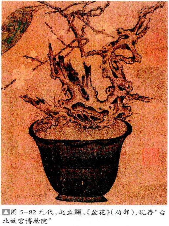 元代植物盆景养护管理技术 图片