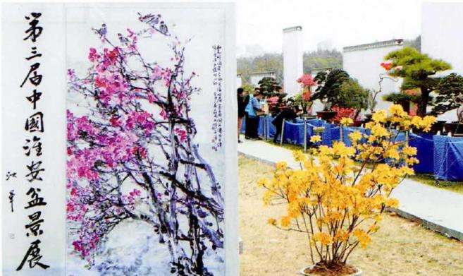 2022年江苏第三届淮安盆景展