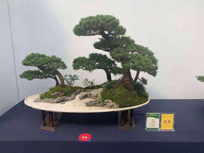 室内厅馆怎么布置扬派盆景的方法