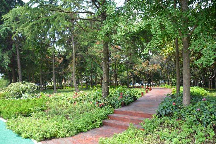 城市园林绿化的2个基本概念和主要实施策略