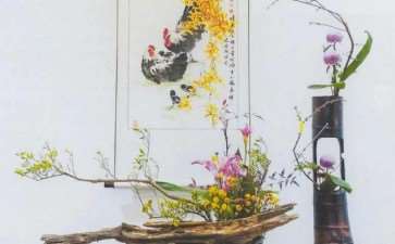 冬至怎么插花的方法讲解