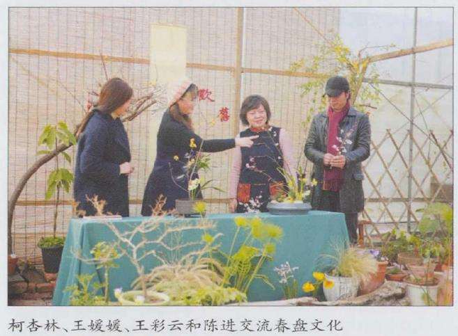 虎年立春 踏青赏春者们欢聚小小花园