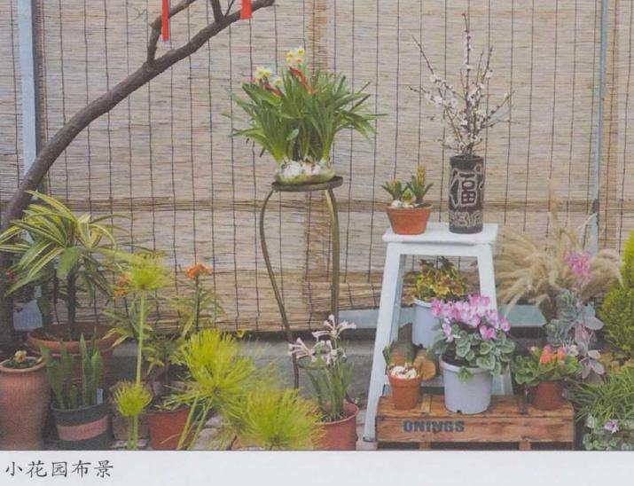 虎年立春 踏青赏春者们欢聚小小花园