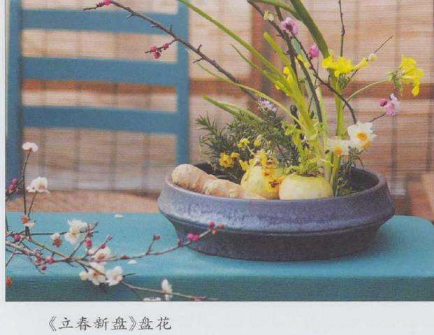 虎年立春 踏青赏春者们欢聚小小花园