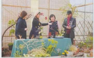 虎年立春 踏青赏春者们欢聚小小花园