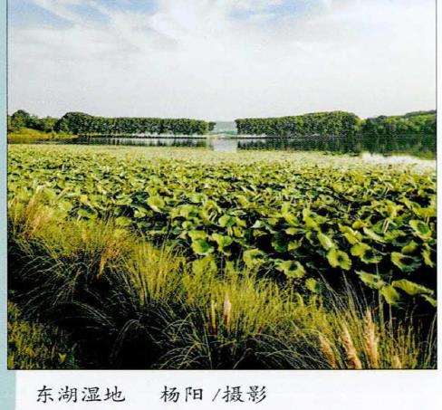 2022 武汉举办第14届湿地公约大会