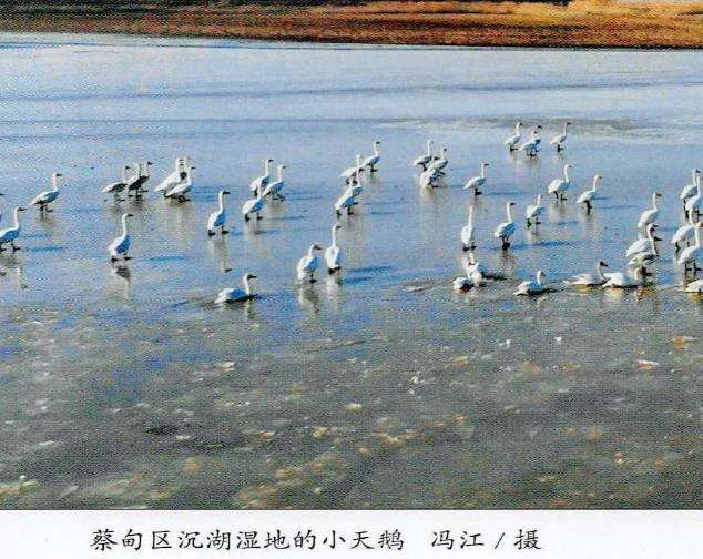 2022 武汉举办第14届湿地公约大会