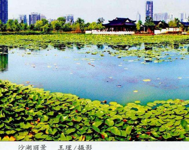 2022 武汉举办第14届湿地公约大会