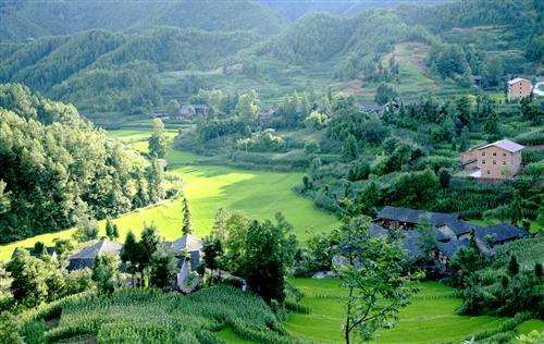 怎么提高林业生态修复的4个对策