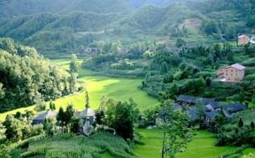 林业生态怎么修复的3个现状