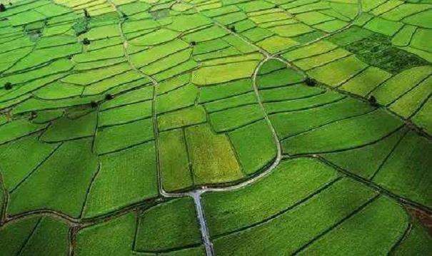 基层农业水利建设与管理的3个概述