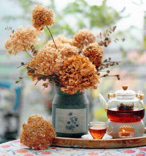 这是小花园的第6个春天 图片
