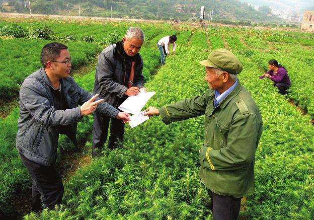 怎么支持林业技术创新的3个策略