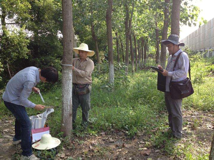 林业低碳技术创新的背景 面临问题与挑战
