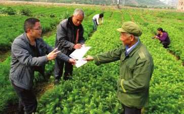 林业低碳技术创新的背景 面临问题与挑战