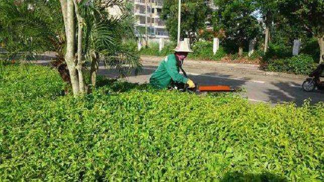 园林绿化工程施工现场怎么管理的7个研究