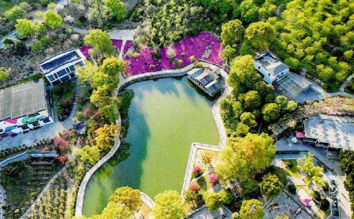 中国的布查特花园 紫藤 图片