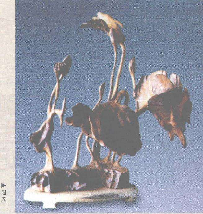 枯龙木的4个作品特色