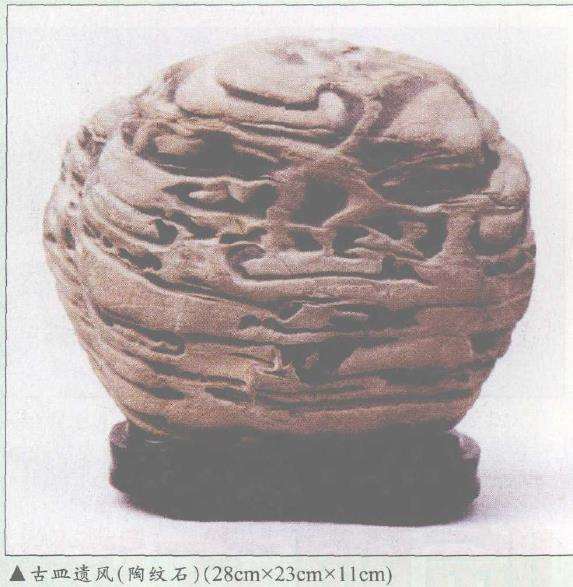 长江三峡的花林造型石 图片