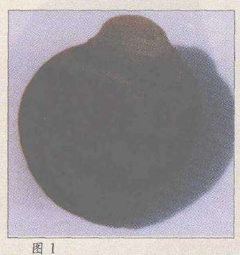 遴选了8枚精品雨花美石 图片