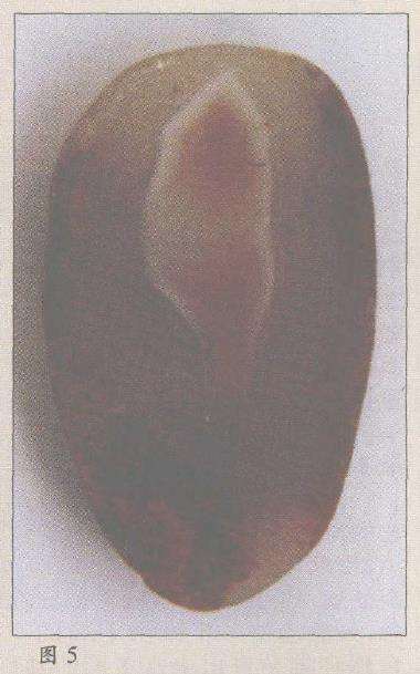 遴选了8枚精品雨花美石 图片6