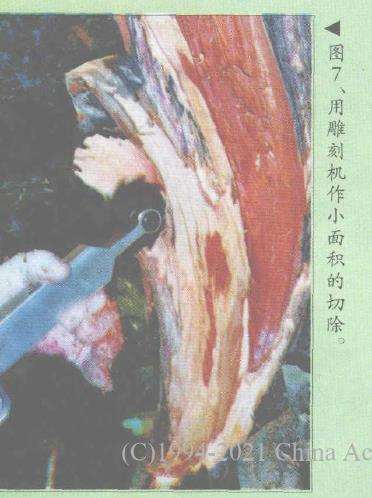 图解 郑诚恭怎么柏树盆景造型的22个步骤