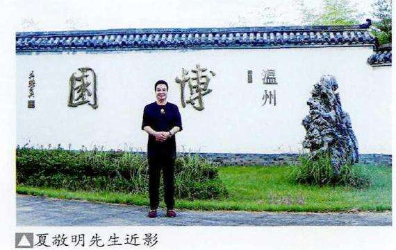 松树盆景及松树景观鉴赏 图片