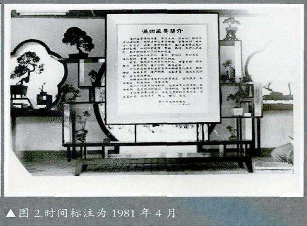 中国盆景艺术大师胡乐国艺术全集