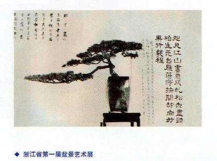 中国盆景艺术大师胡乐国艺术全集