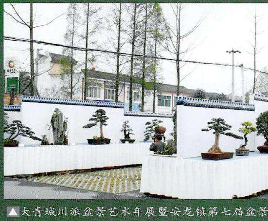 成都都江堰市安龙川派盆景简介