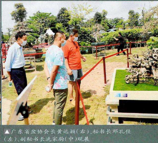 2022年第十四届中山盆景精品展