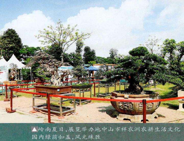 2022年第十四届中山盆景精品展