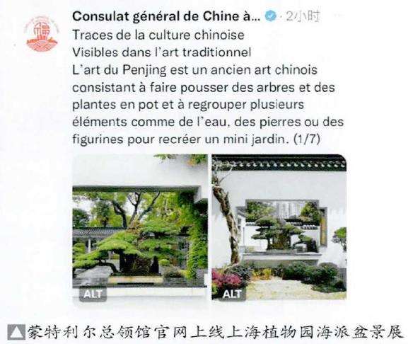 蒙特利尔总领馆上线上海植物园海派盆景展