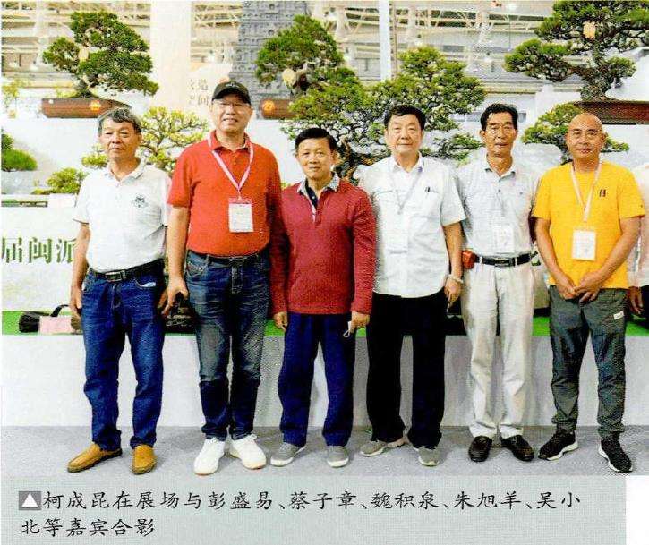 2022厦门第二届闽派盆景精品展