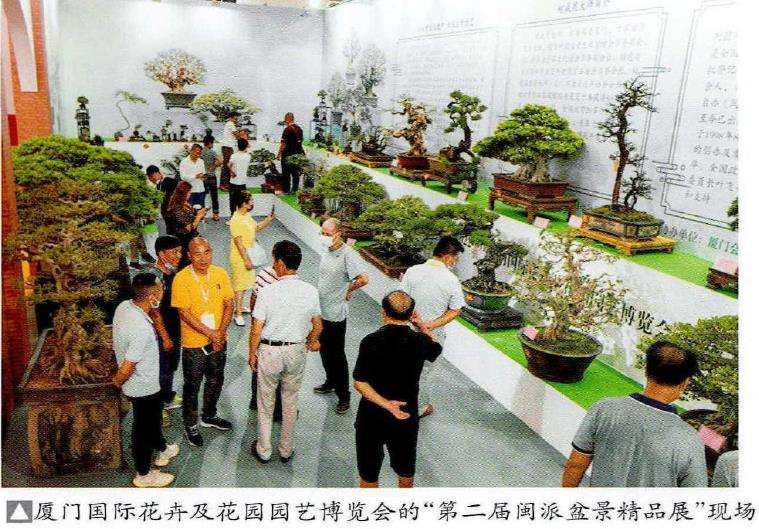 2022厦门第二届闽派盆景精品展