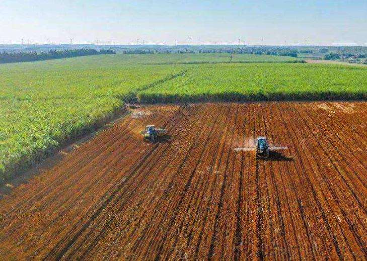 绿色农业种植技术推广的3个积极意义