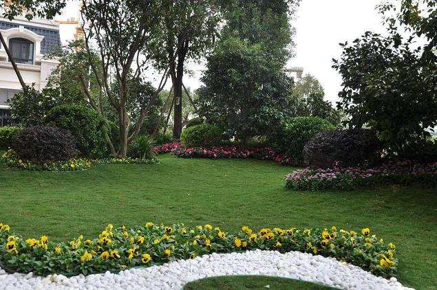 现代城市园林绿化怎么问题分析的5个方法