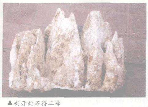 图解 山石盆景《峡江冬日》怎么创作札记