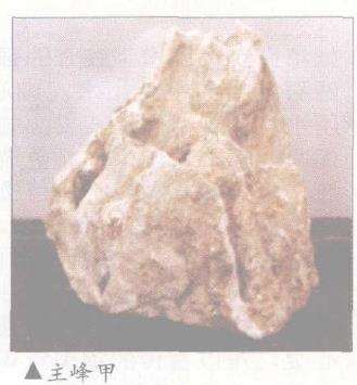 图解 山石盆景《峡江冬日》怎么创作札记