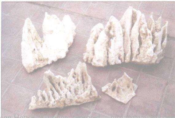 图解 山石盆景《峡江冬日》怎么创作札记