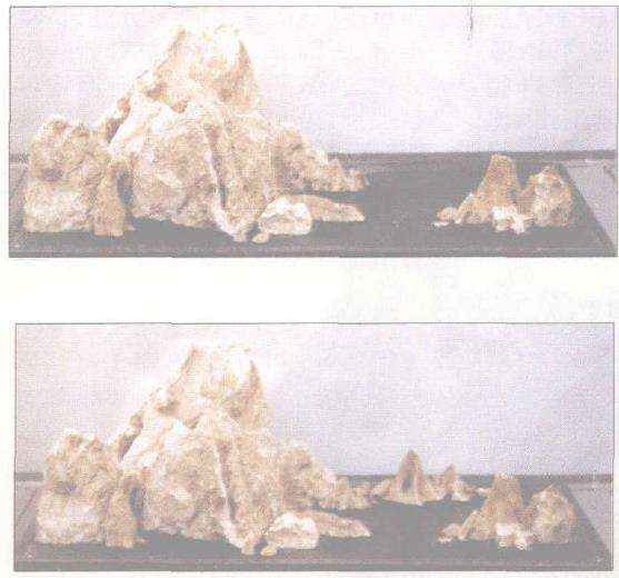 图解 山石盆景《峡江冬日》怎么创作札记