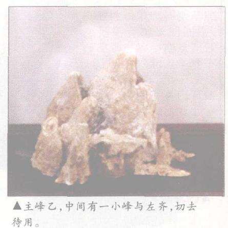 图解 山石盆景《峡江冬日》怎么创作札记